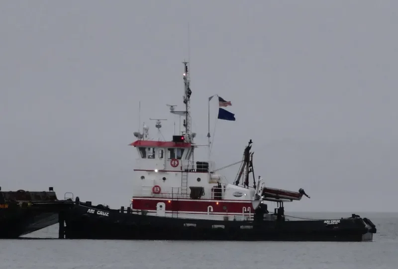 ARI CRUZ General Cargo IMO 9107849