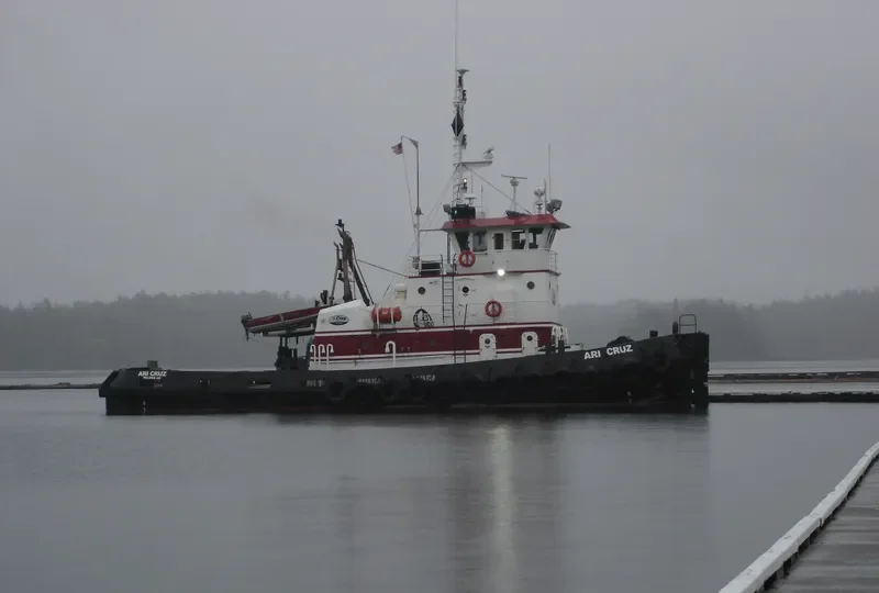 ARI CRUZ General Cargo IMO 9107849 photo 2