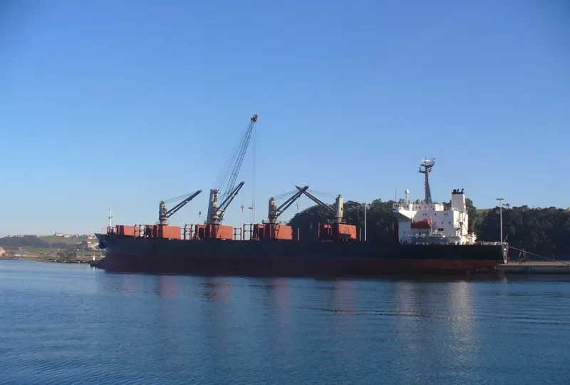 CAN YUCEL Bulk Carrier IMO 9107899 photo 10