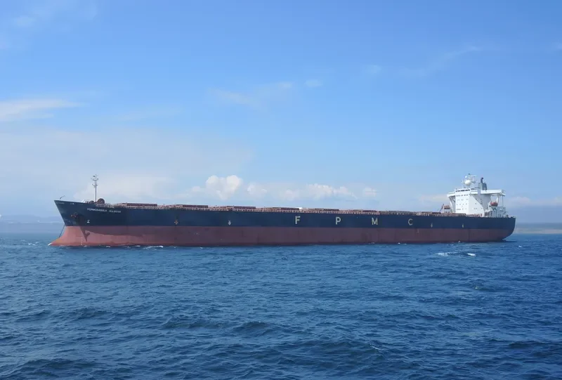 MAMITSA XL Bulk Carrier IMO 9107904 photo 3