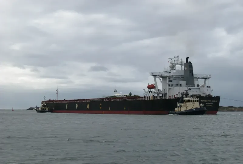 MAMITSA XL Bulk Carrier IMO 9107904 photo 4