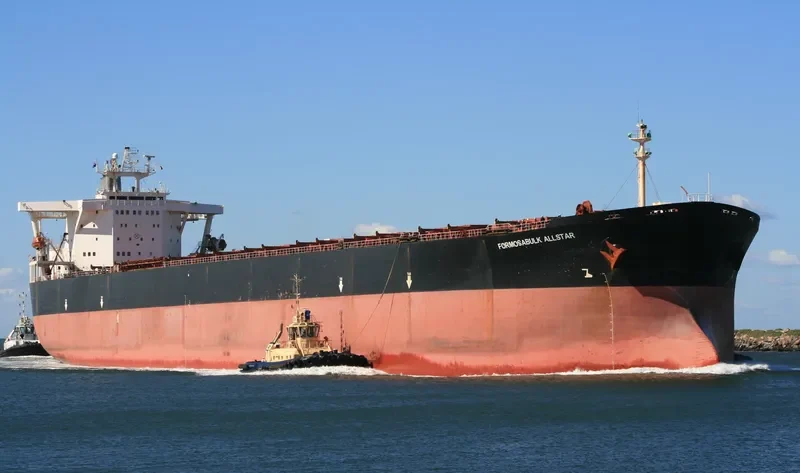 MAMITSA XL Bulk Carrier IMO 9107904 photo 30