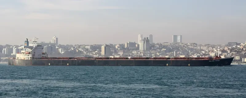 SILVER TRADE Bulk Carrier IMO 9107916 photo 4