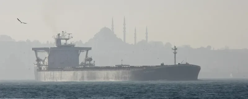 SILVER TRADE Bulk Carrier IMO 9107916 photo 5