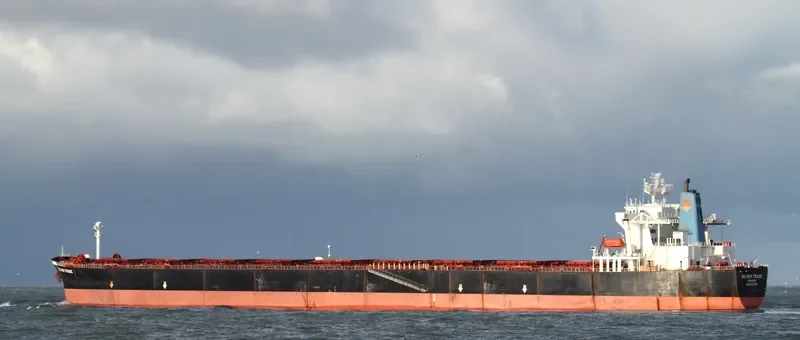 SILVER TRADE Bulk Carrier IMO 9107916 photo 6