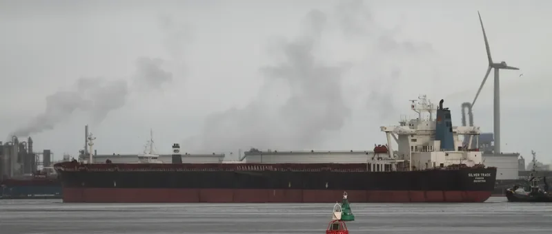SILVER TRADE Bulk Carrier IMO 9107916 photo 7
