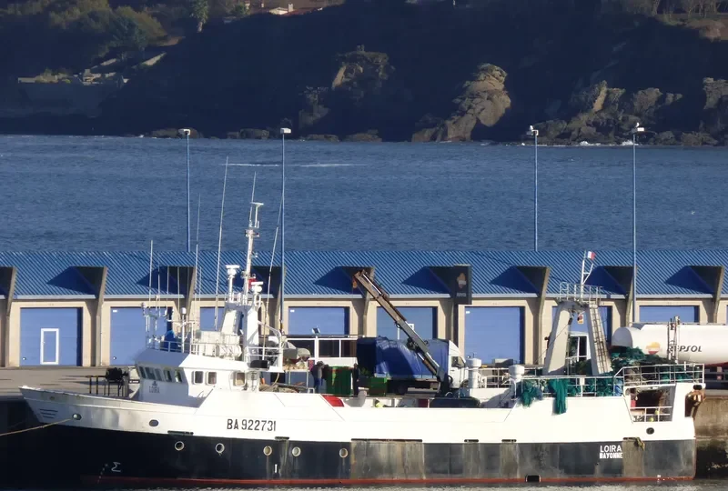LOIRA General Cargo IMO 9108001