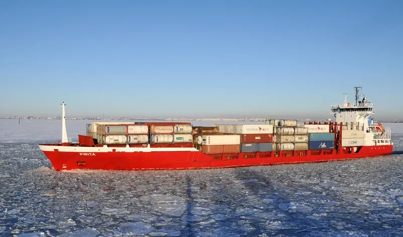PIRITA Container Ship IMO 9108063 photo 2