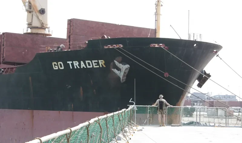 U WIN Bulk Carrier IMO 9108116