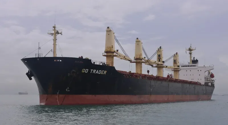 U WIN Bulk Carrier IMO 9108116 photo 2