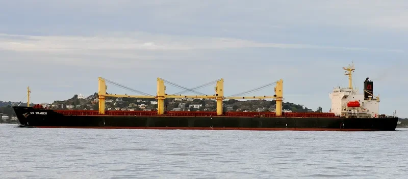 U WIN Bulk Carrier IMO 9108116 photo 3