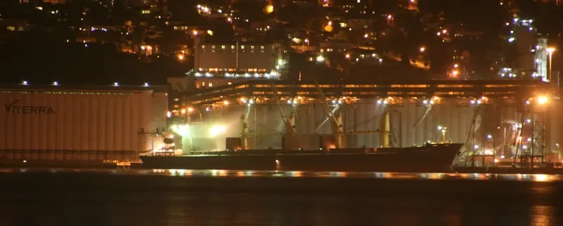 U WIN Bulk Carrier IMO 9108116 photo 4