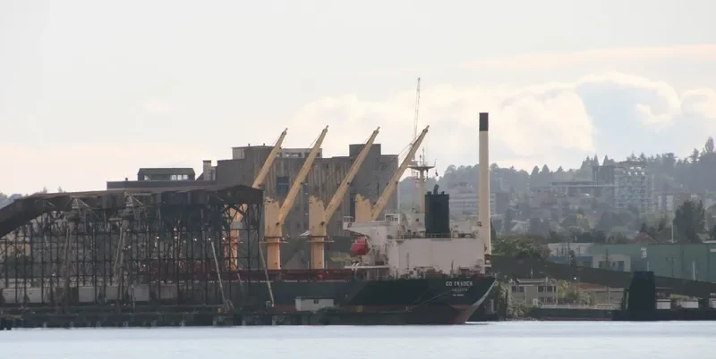 U WIN Bulk Carrier IMO 9108116 photo 5