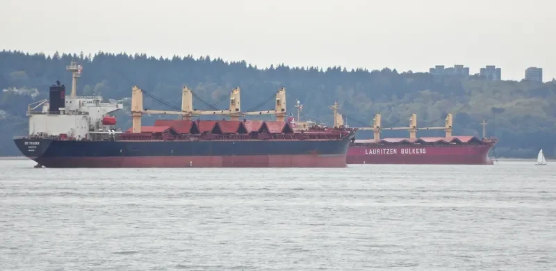 U WIN Bulk Carrier IMO 9108116 photo 6