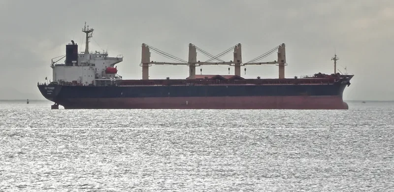 U WIN Bulk Carrier IMO 9108116 photo 7