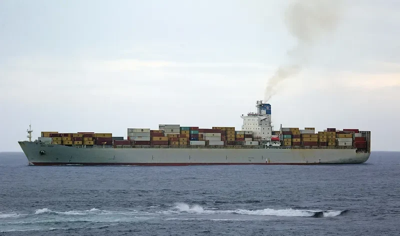BOX CHINA Container Ship IMO 9108178 photo 6