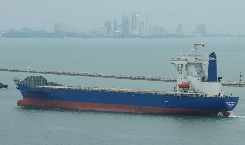 OCEAN PROLOGUE Container Ship IMO 9108221 photo 2