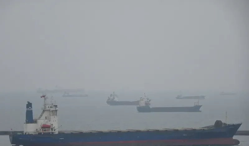 OCEAN PROBE Container Ship IMO 9108233