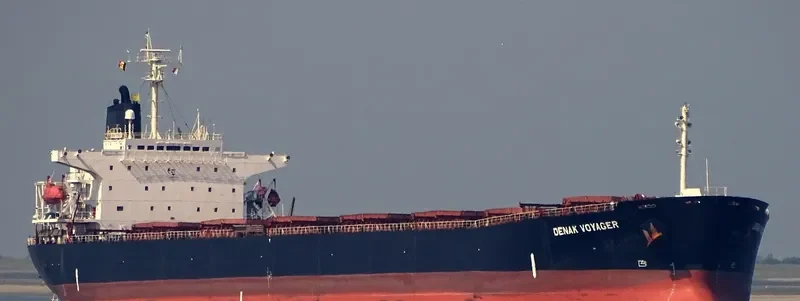 DENAK VOYAGER Bulk Carrier IMO 9108257 photo 4