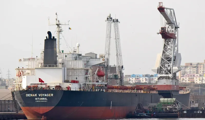 DENAK VOYAGER Bulk Carrier IMO 9108257 photo 5