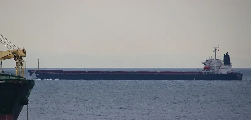 DENAK VOYAGER Bulk Carrier IMO 9108257 photo 6