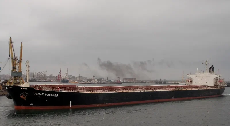 DENAK VOYAGER Bulk Carrier IMO 9108257 photo 7