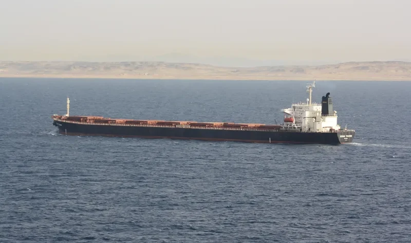 DENAK TRADER Bulk Carrier IMO 9108269