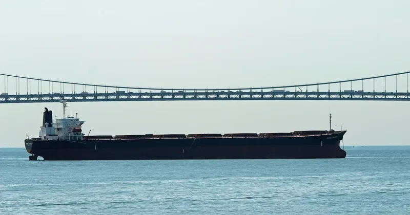 DENAK TRADER Bulk Carrier IMO 9108269 photo 3