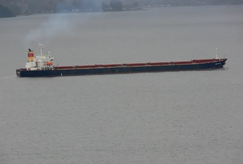 DENAK TRADER Bulk Carrier IMO 9108269 photo 5