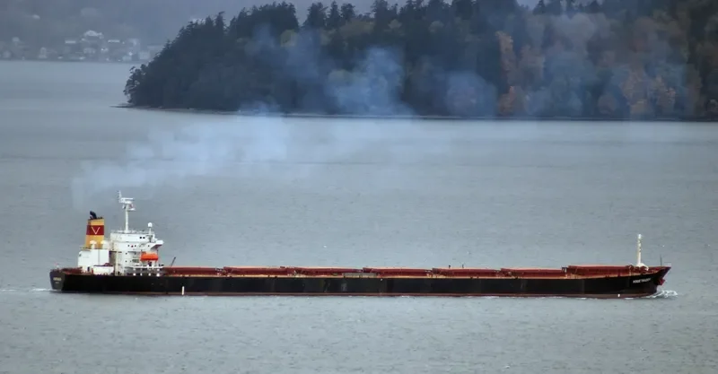 DENAK TRADER Bulk Carrier IMO 9108269 photo 6