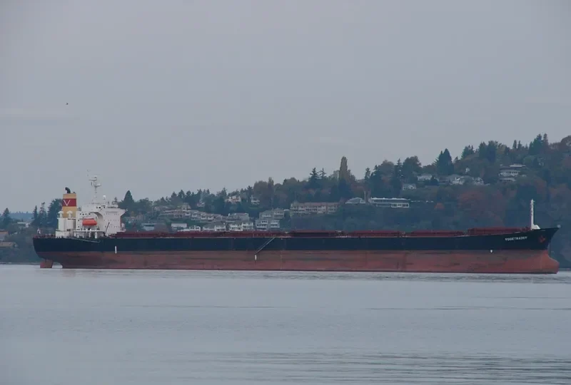DENAK TRADER Bulk Carrier IMO 9108269 photo 7