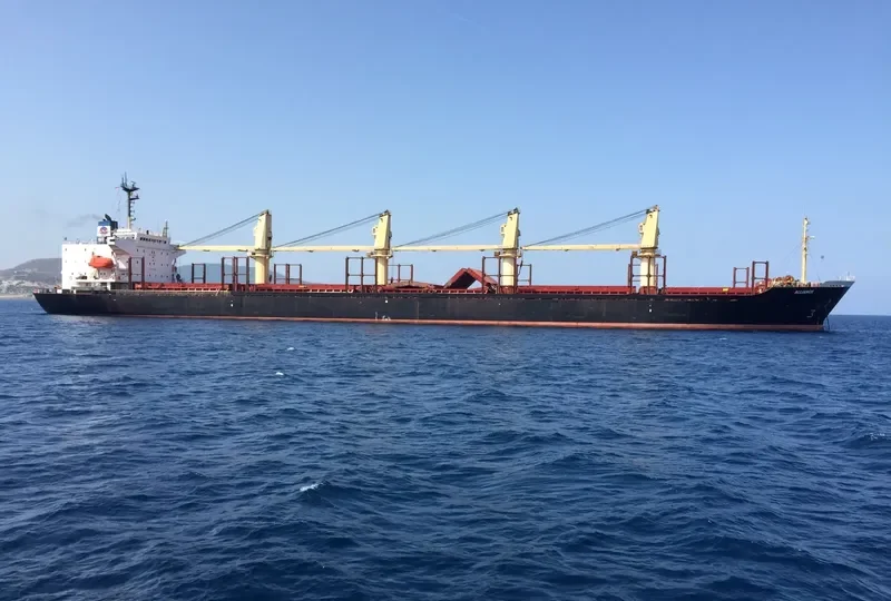 ALLIANCE Bulk Carrier IMO 9108271 photo 5