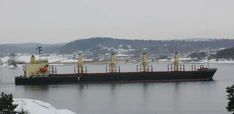 ALLIANCE Bulk Carrier IMO 9108271 photo 7