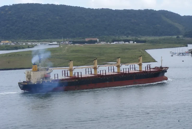 ALLIANCE Bulk Carrier IMO 9108271 photo 8
