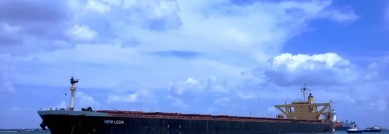 NEW LEON Bulk Carrier IMO 9108283