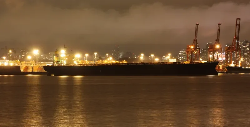 NEW LEON Bulk Carrier IMO 9108283 photo 3