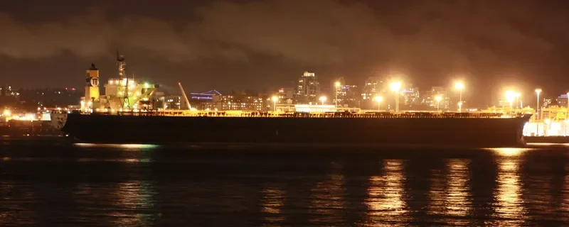 NEW LEON Bulk Carrier IMO 9108283 photo 6