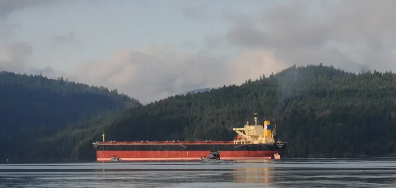 NEW LEON Bulk Carrier IMO 9108283 photo 7