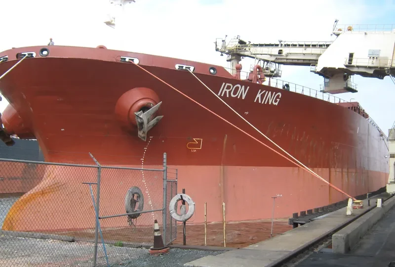 IRON KING Bulk Carrier IMO 9108300 photo 3