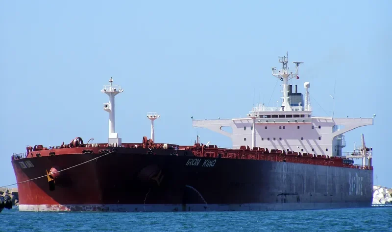 IRON KING Bulk Carrier IMO 9108300 photo 8