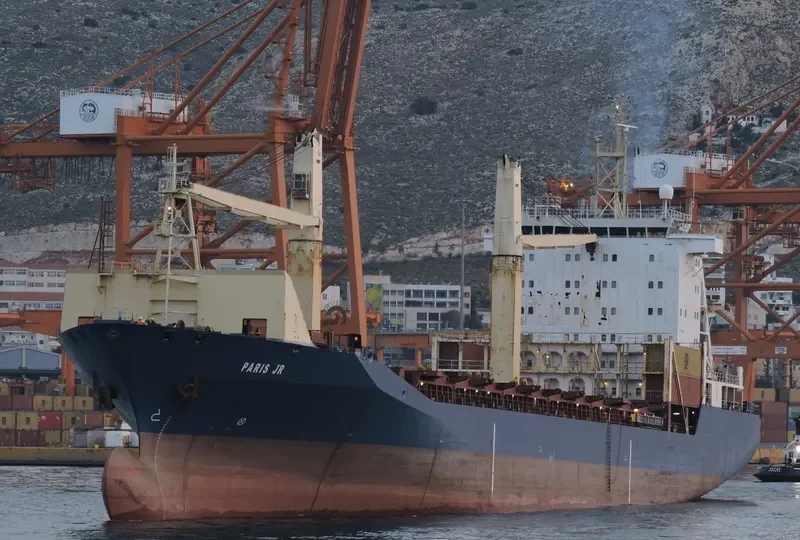MSC TIANA F Container Ship IMO 9108398
