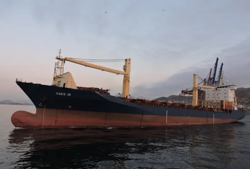 MSC TIANA F Container Ship IMO 9108398 photo 2