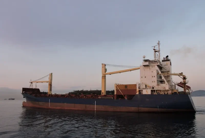 MSC TIANA F Container Ship IMO 9108398 photo 3