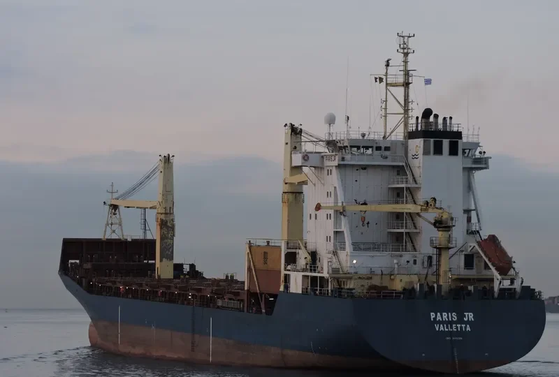 MSC TIANA F Container Ship IMO 9108398 photo 4