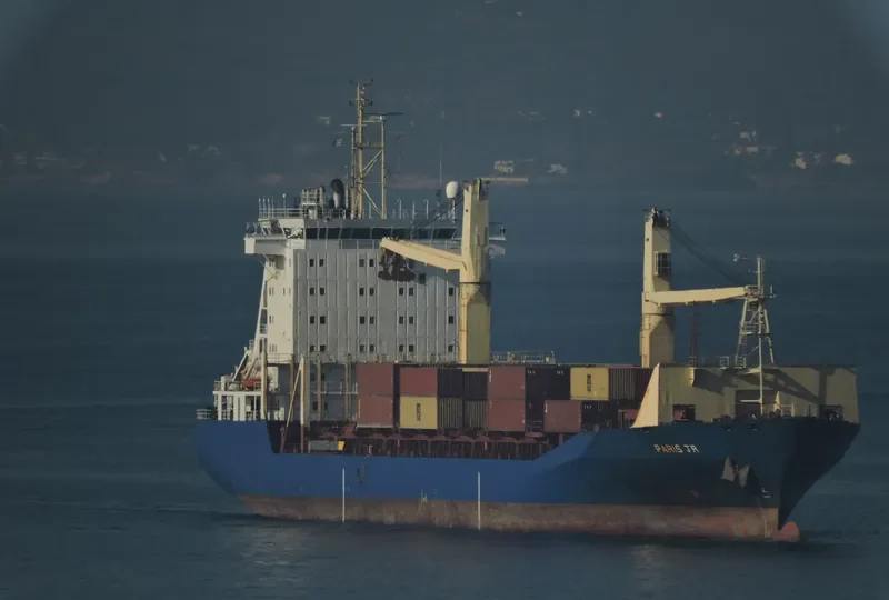 MSC TIANA F Container Ship IMO 9108398 photo 9