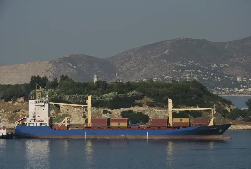 MSC TIANA F Container Ship IMO 9108398 photo 10