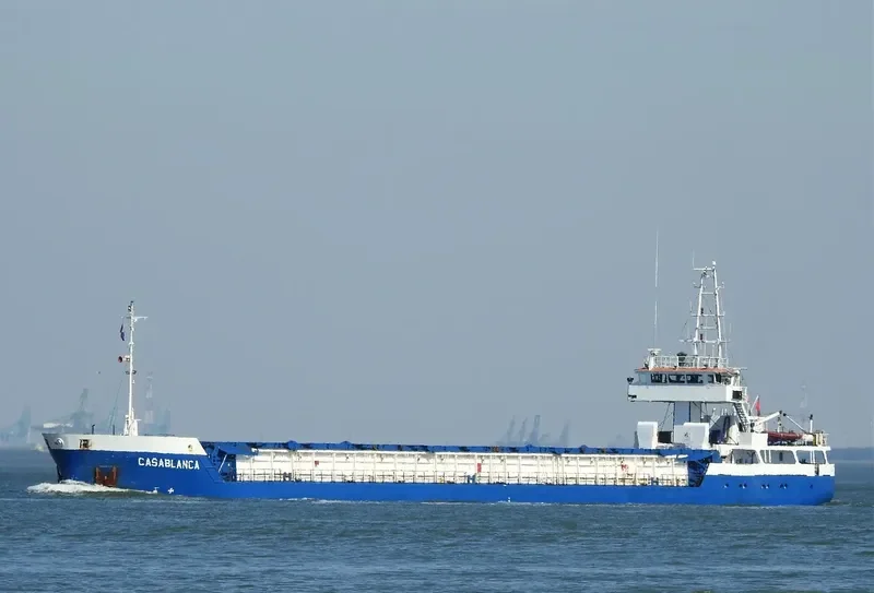 OLGA S General Cargo IMO 9108415 photo 10