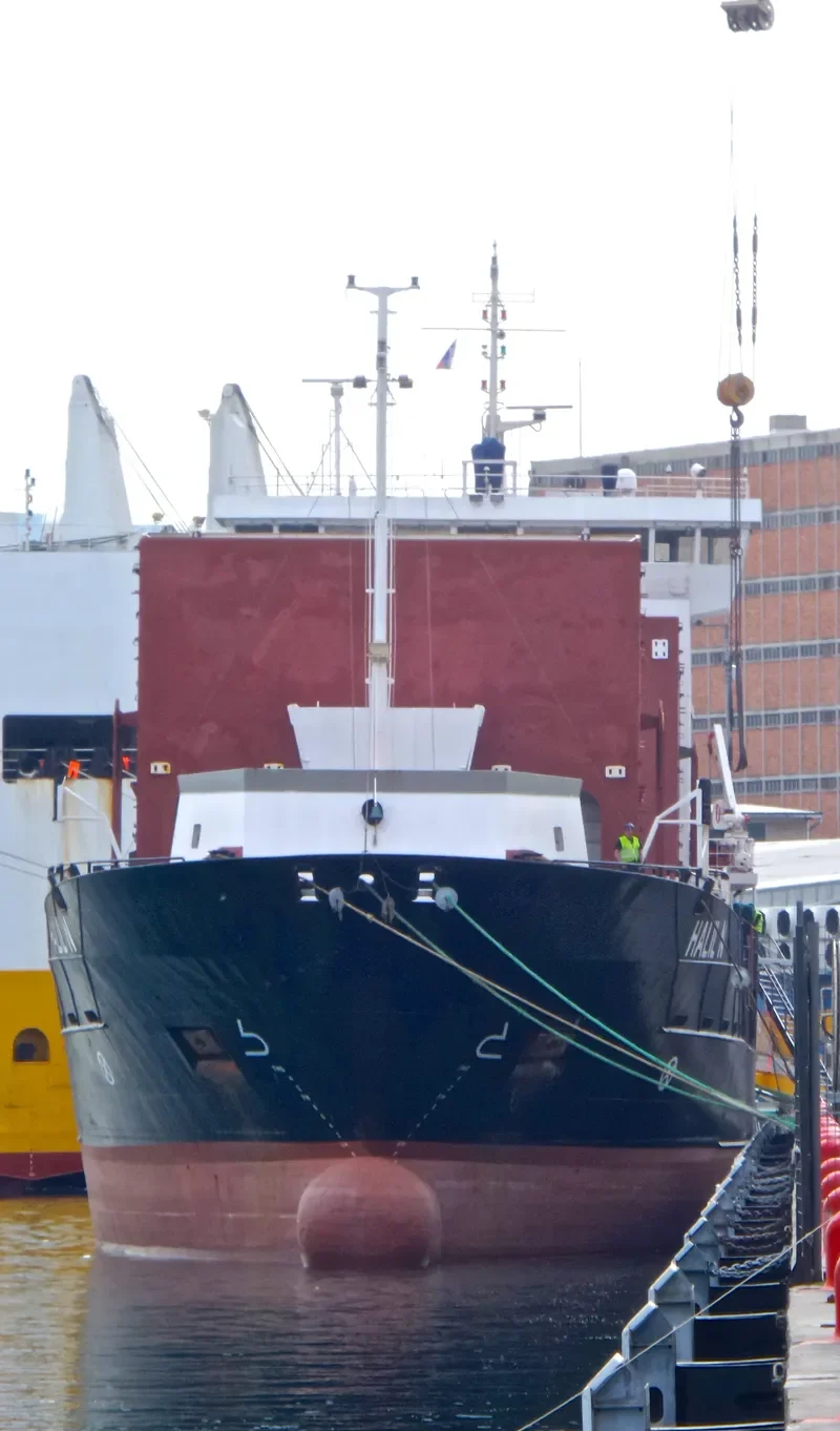 MYGAN General Cargo IMO 9108489 photo 6