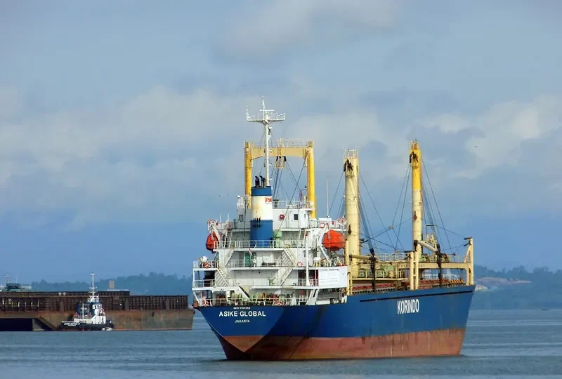 ASIKE GLOBAL General Cargo IMO 9108582 photo 8