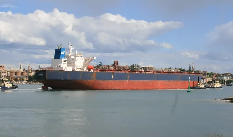 GOONZARAN Bulk Carrier IMO 9108673 photo 2
